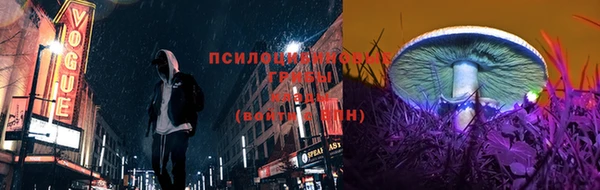 твердый Бугульма
