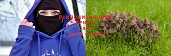 герыч Бородино