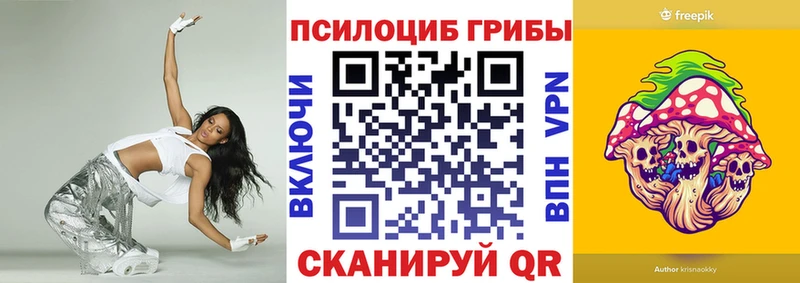 Псилоцибиновые грибы Psilocybe  Нальчик 
