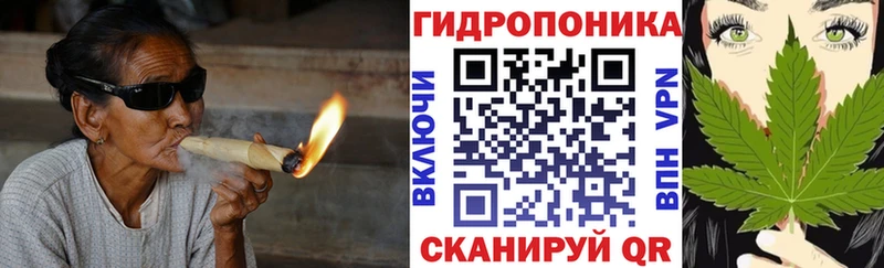 Бошки марихуана гибрид даркнет сайт нарко площадка наркотические препараты Нальчик